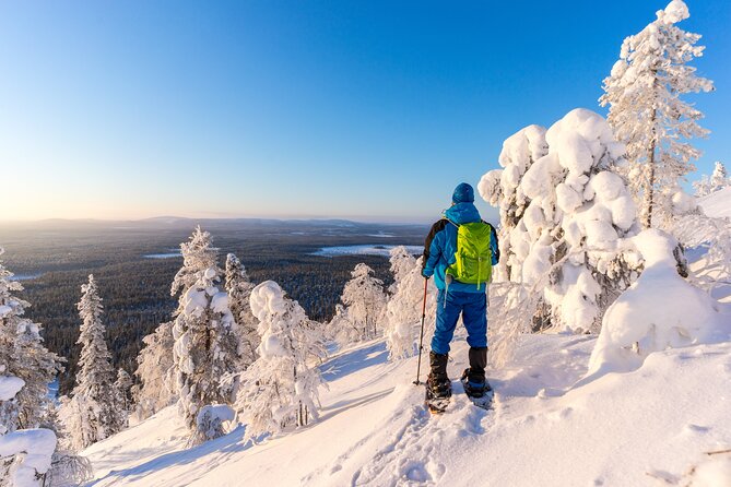 Lapland Ice Fishing Experience from Rovaniemi - The guide is the whole engine: names like Lisa, Charlotte, and Mirko