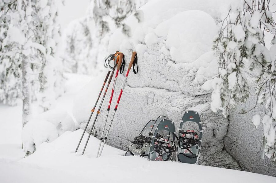 Lapland: Ice Fishing, Floating & BBQ Snow Adventure - Price and value: what $281 really covers