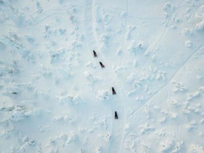 Levi: Snowmobile Safari with Ice Fishing and Outdoor Lunch - Snowmobile Driving in Lapland: Two Riders, One Machine