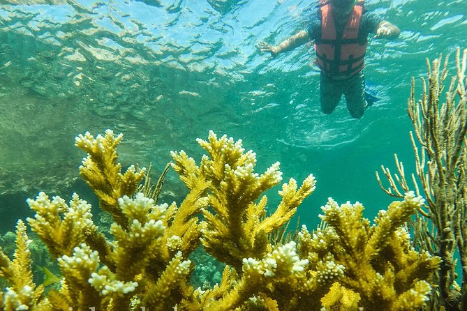 Local Fishing Plus Snorkeling Tour in Isla Mujeres - Fishing and snorkeling on your terms in Isla Mujeres