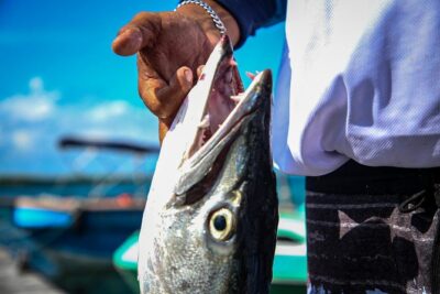 Local Fishing Plus Snorkeling Tour in Isla Mujeres - Getting started smoothly: meeting point, timing, and the on-water rhythm