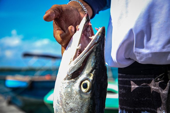Local Fishing Plus Snorkeling Tour in Isla Mujeres - Getting started smoothly: meeting point, timing, and the on-water rhythm