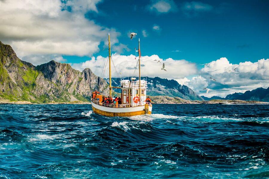 Lofoten: Traditional Fishing Trip - Why a Lofoten Fishing Trip Feels More Real Than a Tour Bus