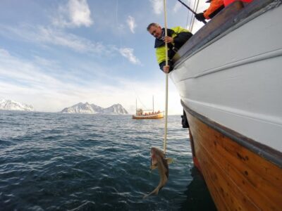 Lofoten: Traditional Fishing Trip - What You’ll Actually Do Onboard (and What Makes It Worth 4 Hours)