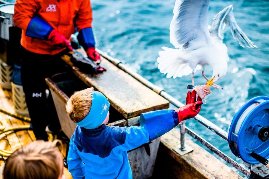 Lofoten: Traditional Fishing Trip - Included Items vs What You Provide Yourself