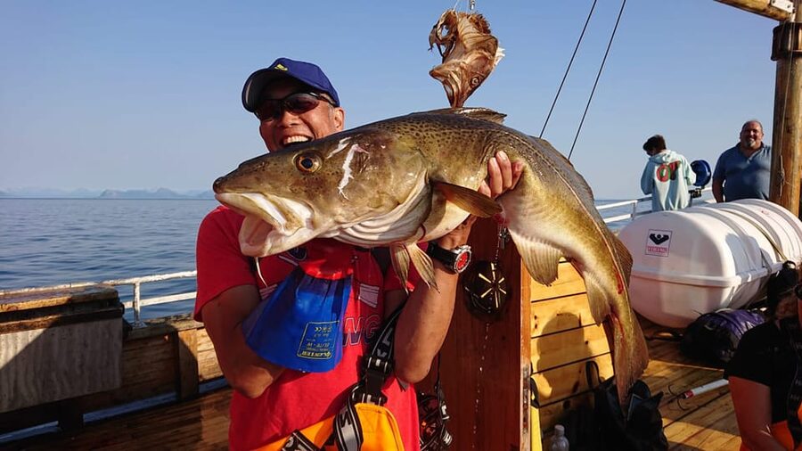 Lofoten: Traditional Fishing Trip - Should You Book the Lofoten Traditional Fishing Trip?