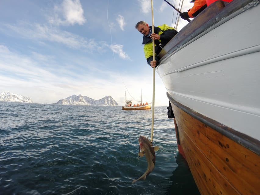 Lofoten: Traditional Fishing Trip - What You’ll Actually Do Onboard (and What Makes It Worth 4 Hours)