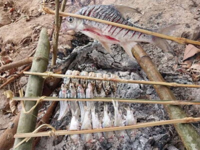 Luang Prabang: Mekong Fishing with a Local Fisherman & Lunch - Traditional Mekong fishing: what you’ll actually learn on the water