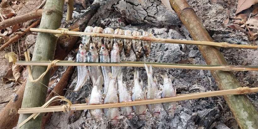 Luang Prabang: Mekong Fishing with a Local Fisherman & Lunch - My recommendation: should you book this Mekong fishing day?