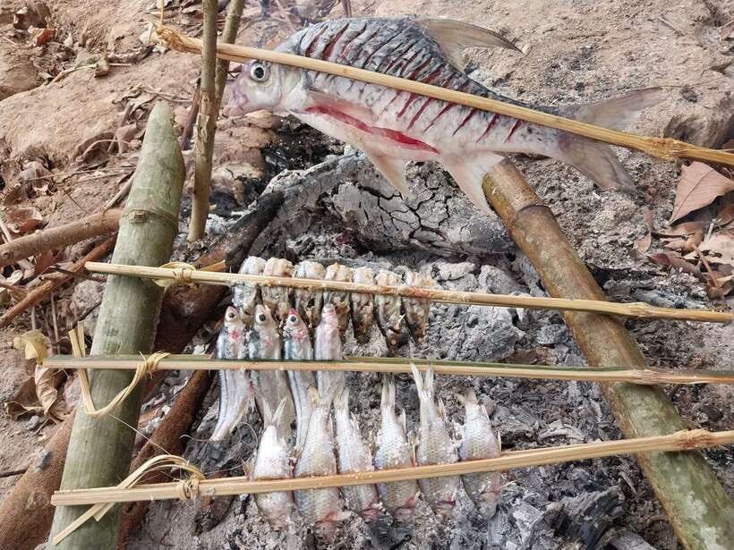 Luang Prabang: Mekong Fishing with a Local Fisherman & Lunch - Traditional Mekong fishing: what you’ll actually learn on the water
