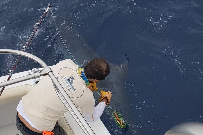 Macaronesia Charter Fishing in Lanzarote (Canary Islands) - Booking a Private Charter From Playa Blanca (And What You’re Paying For)