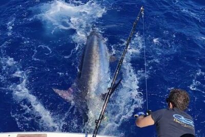 Macaronesia Charter Fishing in Lanzarote (Canary Islands) - Meeting on the Clock: 8:00 to 8:30 AM Start