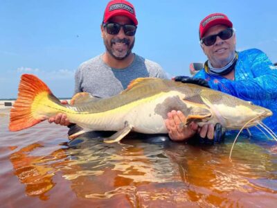 Manaus : A day of fishing on the Rio Negro - Getting to the Fishing Spots: Boat Cruise + Photo Stops Without the Fuss