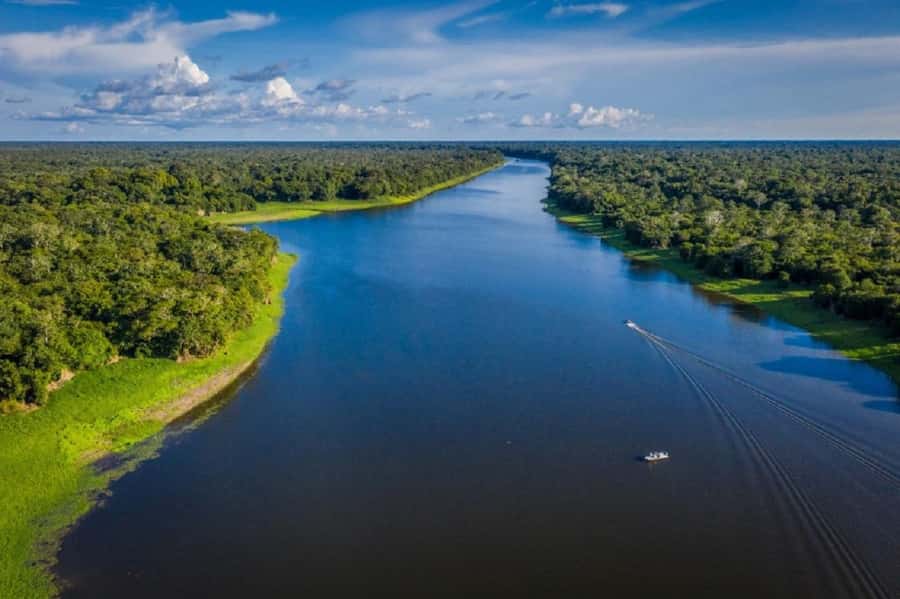 Manaus : A day of fishing on the Rio Negro - Afternoon Fishing: Longer Time, Realistic Expectations, and Good Guidance