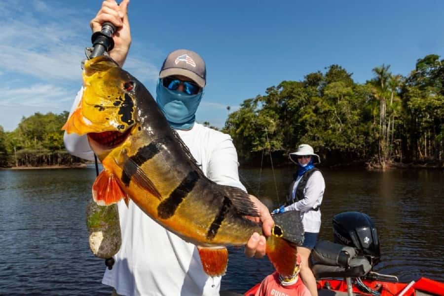 Manaus : A day of fishing on the Rio Negro - The Guide and the River: Why Language and Patience Matter