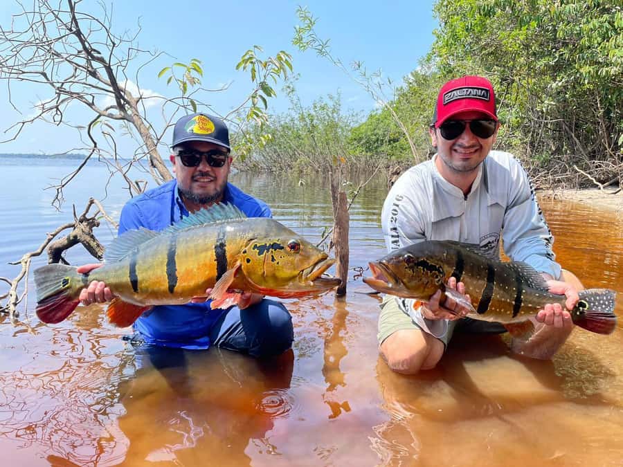 Manaus : A day of fishing on the Rio Negro - Who This Tour Fits Best (and Who Should Skip It)