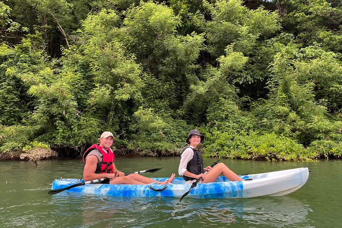Mangrove Kayak & Sea Fishing Experience in Okinawa - Mangrove kayaking in a live ecosystem: what you’ll actually see