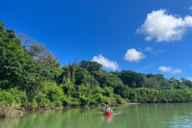 Mangrove Kayak & Sea Fishing Experience in Okinawa - Price and value: is $63.74 fair for a 4-hour combo?