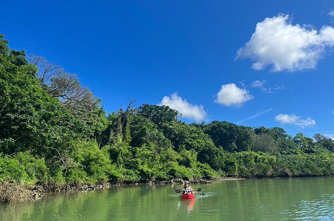 Mangrove Kayak & Sea Fishing Experience in Okinawa - Who should book this, and who might want a different plan