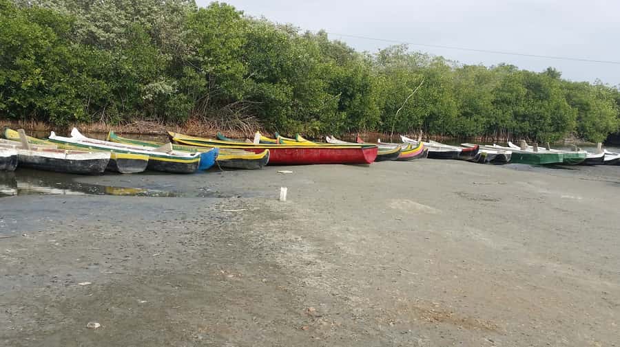 Mangroves, cultural fishing, black heritage town and lunch - Cultural fishing that’s more than a photo stop