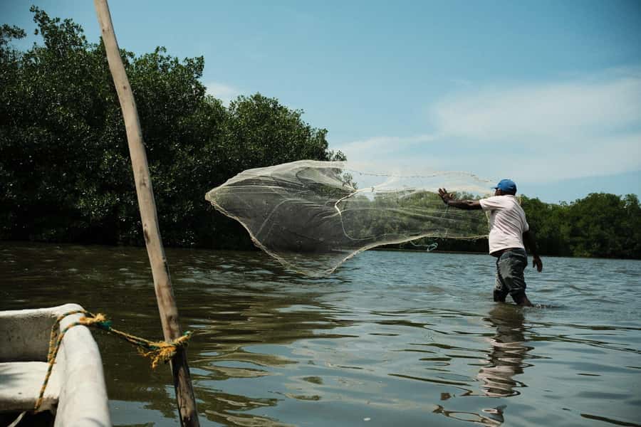 Mangroves, cultural fishing, black heritage town and lunch - The drive from Cartagena: small time investment, big context