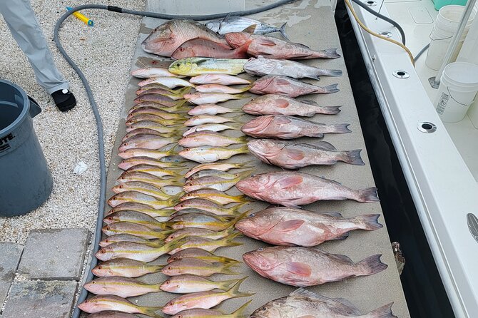 Marathon Florida Keys Fishing Experience - What You Can Catch Nearshore Around Marathon Key