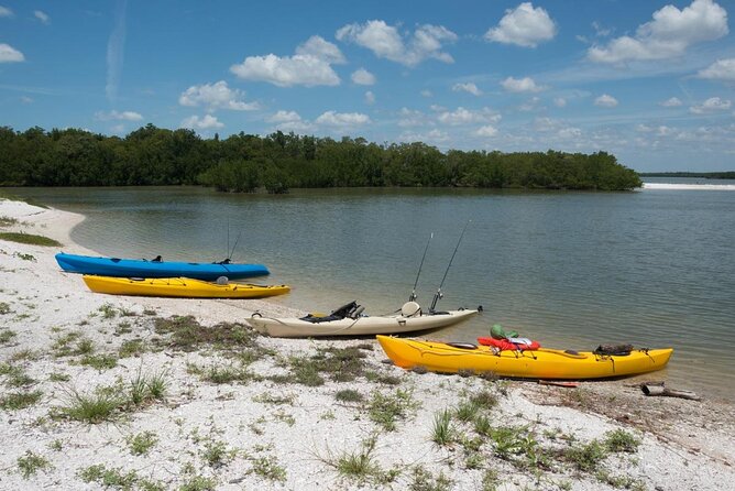 Marco Island Inshore Fishing Charters - Key highlights you’ll care about