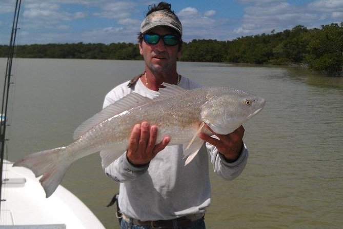 Marco Island Inshore Fishing Charters - What you might catch: a realistic take on redfish, mackerel, and snapper