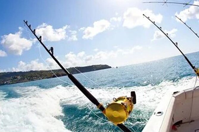 Marmaris Fishing Tour With Rods & Baits Included - Entering The Boat: What Happens From 9:30 am On