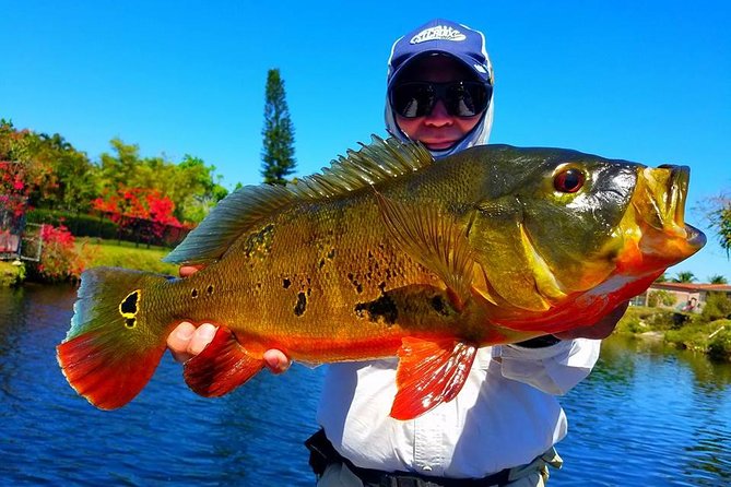 Miami Airport Lakes Peacock Bass Fishing Trip (1 to 4 ppl) - Key things that make this peacock bass charter work
