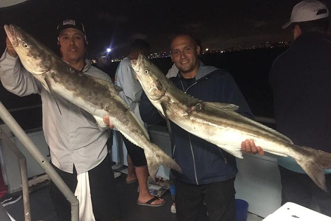 Miami Half Day Deep Sea Fishing Trip from Bayside Marketplace - What you might catch: common names, real expectations