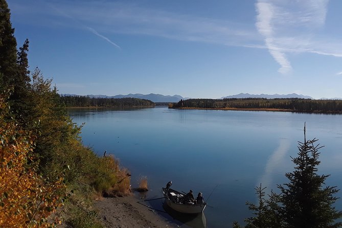 Middle Kenai River Full-Day Fishing Trip - Why the Middle Kenai River is a serious fishing bet for trout