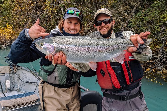 Middle Kenai River Full-Day Fishing Trip - Rules on the Kenai: licenses, stamps, and catch-and-release reality