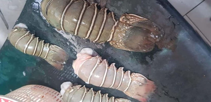 Mumbai Coastal Cooking: From Fishing Net to Flavourful Plate - The Fish Market Moment: Where Colorful Sarees and Fresh Catches Meet