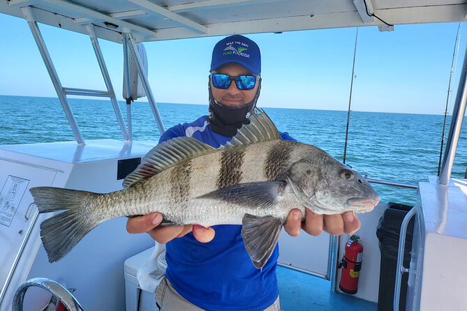 Naples Backwater/Calm Bay Fishing - What You’re Targeting: Redfish, Snook, Sheepshead, and More