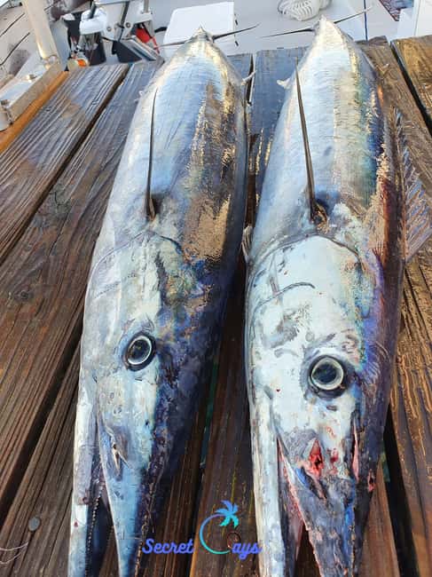 Nassau: Sport-fishing private charter . - Boat comfort and expectations: the one caution worth noting