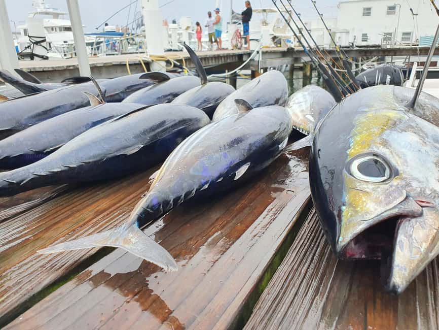 Nassau: Sport-fishing private charter . - Nassau’s Secret Cays charter: what makes it feel different on the water