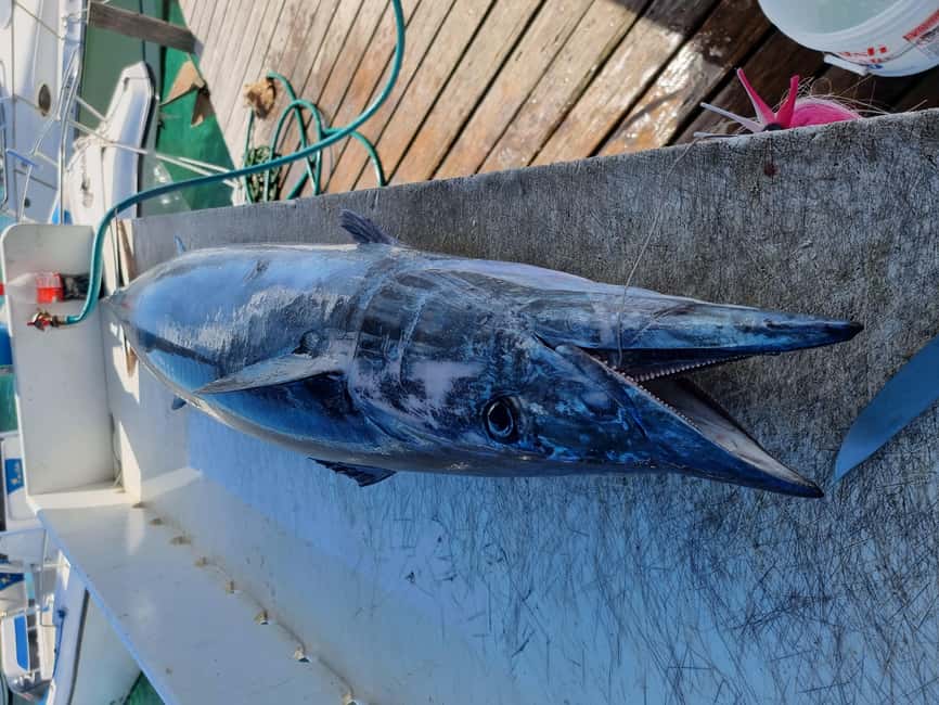 Nassau: Sport-fishing private charter . - Beyond fishing: snorkeling reefs and other Nassau add-ons