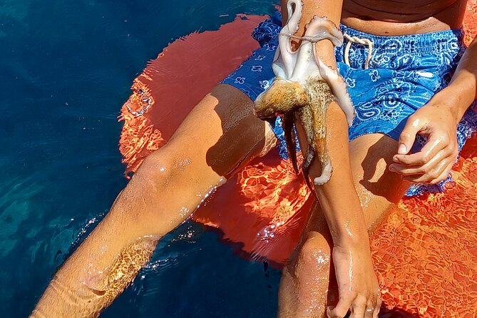 Naxos private fishing trips, lunch on board & island hopping - Where the boat goes: Naxos plus the Small Cyclades (often including Donous and Schoinousa)
