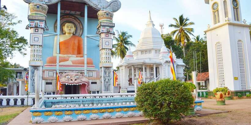 Negombo: Fishing Village Highlights Private Tour by Tuk Tuk - Stop 1: Negombo Fish Market (where the morning energy lives)