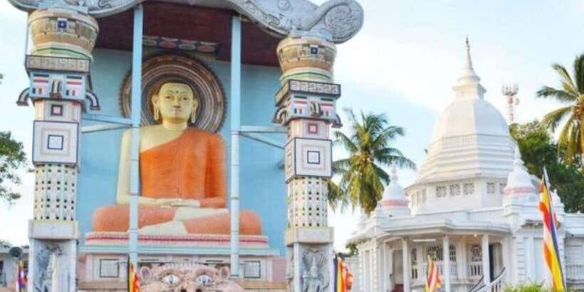 Negombo: Fishing Village Highlights Private Tour by Tuk Tuk - The king coconut drink and the ride back