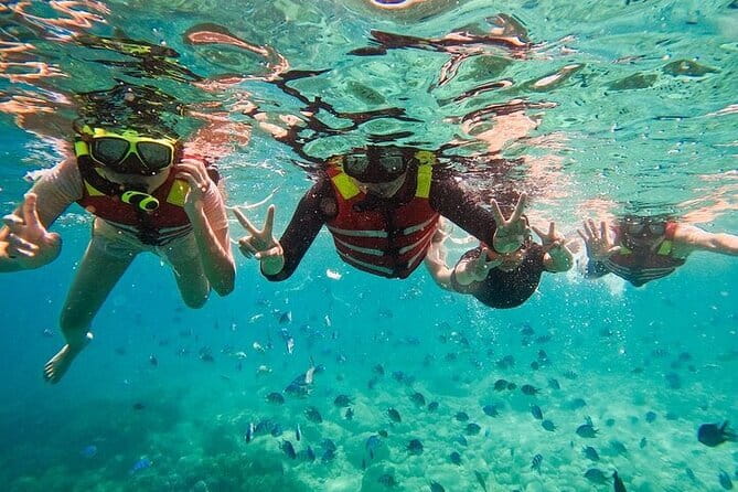 Nha Trang Bay Day Tour: Snorkeling, Fishing, BBQ Lunch & Relaxing - Hon Mun Marine Park snorkeling: reef time plus current gear rules