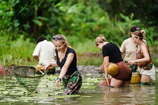 Ninh Binh eco group tour - Buffalo riding, rice planting, fishing - Key highlights (quick hits)