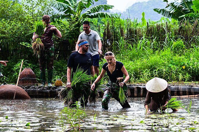 Ninh Binh eco group tour - Buffalo riding, rice planting, fishing - Price and value: is $41.41 fair for all this?