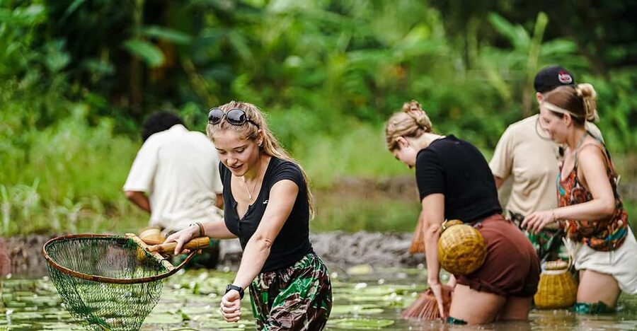 Ninh Binh: Rice planting and fishing by basket tour - Key points worth knowing before you go