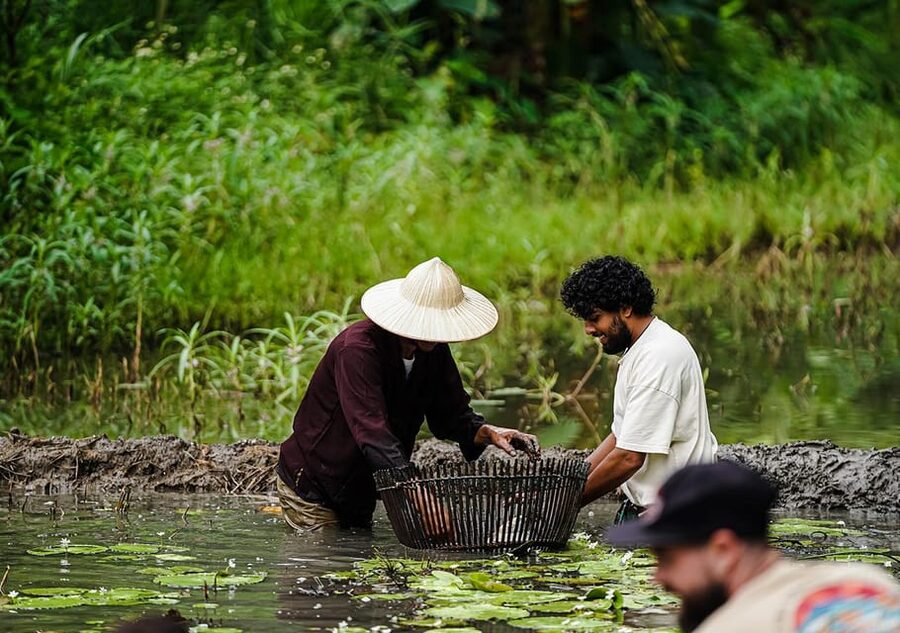 Ninh Binh: Rice planting and fishing by basket tour - Buffalo Cave meeting point: easy to find, close to Tam Coc