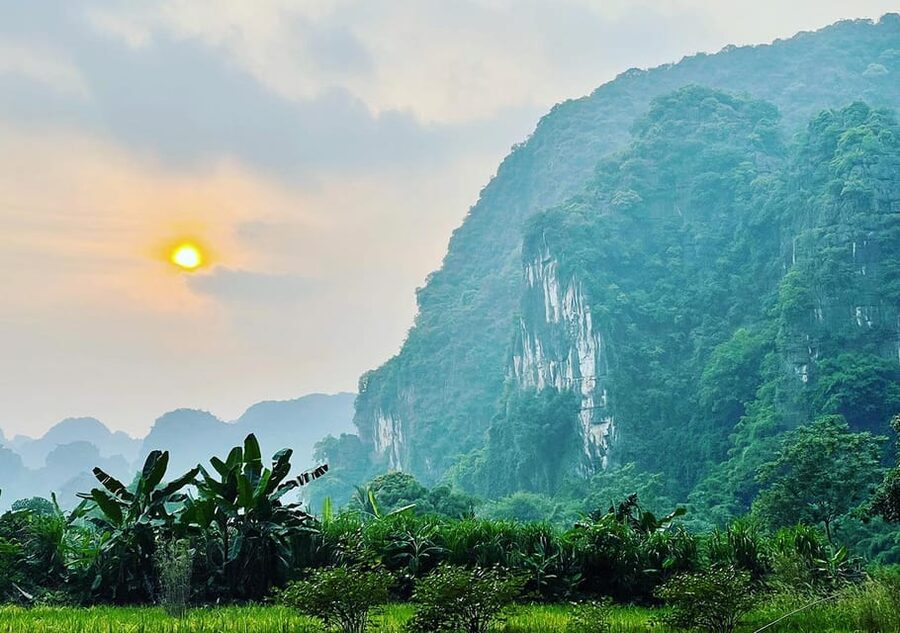 Ninh Binh: Rice planting and fishing by basket tour - Catching fish with the nom: you learn, then you practice