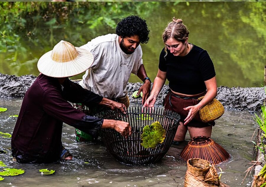 Ninh Binh: Rice planting and fishing by basket tour - Traditional rice planting: why the explanation comes before the mud