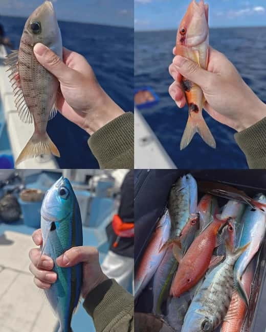 Okinawa: 1/2-Day Private Sea Fishing Charter, Naha w/Pickup - What you might catch (and why disappointment is mostly about expectations)