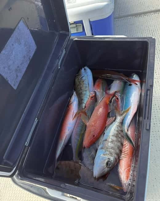 Okinawa: 1/2-Day Private Sea Fishing Charter, Naha w/Pickup - Cooking your catch: onboard grilling vs Ichiroya on Kokusai-dori